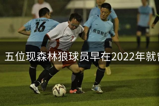 五位现森林狼球员早在2022年就曾并肩作战